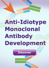 Anti-Idiotype Monoclonal Antibody 
Development at QED Bioscience