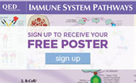 Free Poster