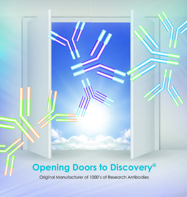 Ask Us About QED’s Anti-Id Development Services - QED Bioscience, Inc