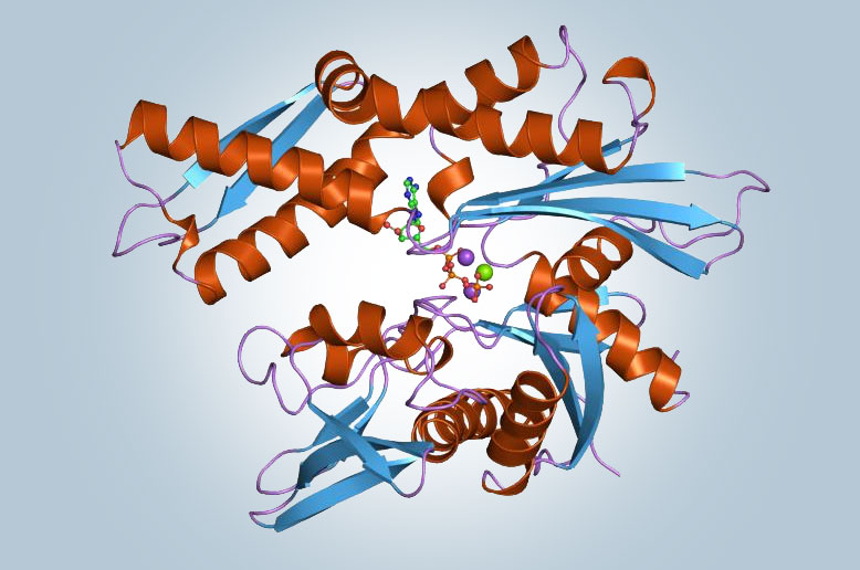 Hsp70 May Be a Molecular Regulator of Schistosome Host Invasion - QED Bioscience, Inc