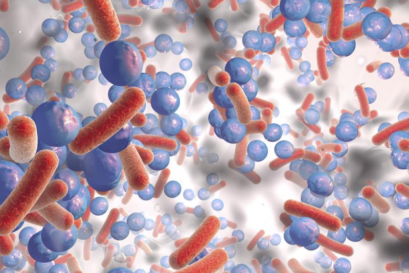 Researchers Uncover Another Tool To Fight Superbugs - QED Bioscience, Inc