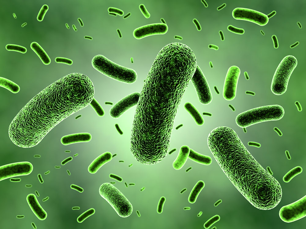 Mycobacterium tuberculosis Induction of Heme Oxygenase-1 Expression Is Dependent on Oxidative Stress and Reflects Treatment Outcomes