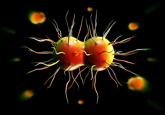 Antibiotic-resistant gonorrhoea on the rise