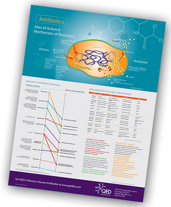 qedbio-antibiotics-resistance-poster Get A Free Infectious Disease Antibody Research Poster - QED Bioscience, Inc
