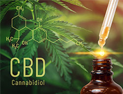 Cannabidiol Can Beat Antibiotic Resistance