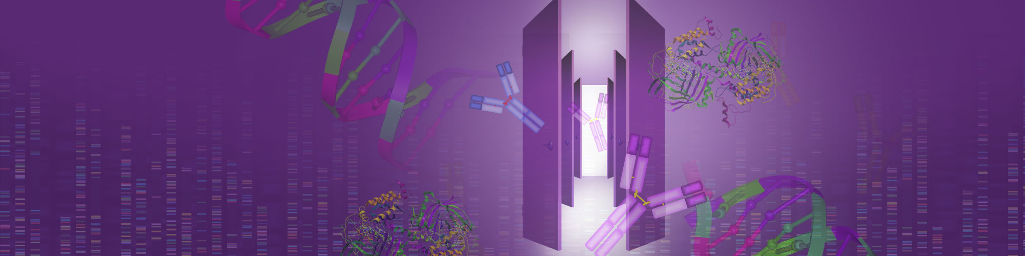 doors-clean-1