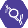 SARS-CoV-2 Nucleoprotein