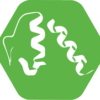 Recombinant Cytomegalovirus Glycoprotein B (gB)