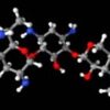 Gentamicin is an antibiotic used to treat several types of bacterial infections including bone infections
