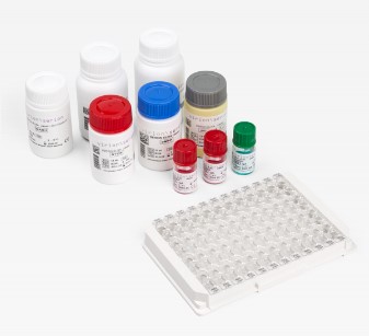 Parvovirus IgG ELISA Kit (ESR122G) – QED Bioscience Inc